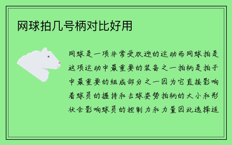 网球拍几号柄对比好用